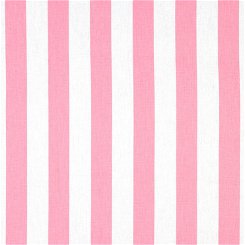 Canopy Baby Pink Canvas Fabric