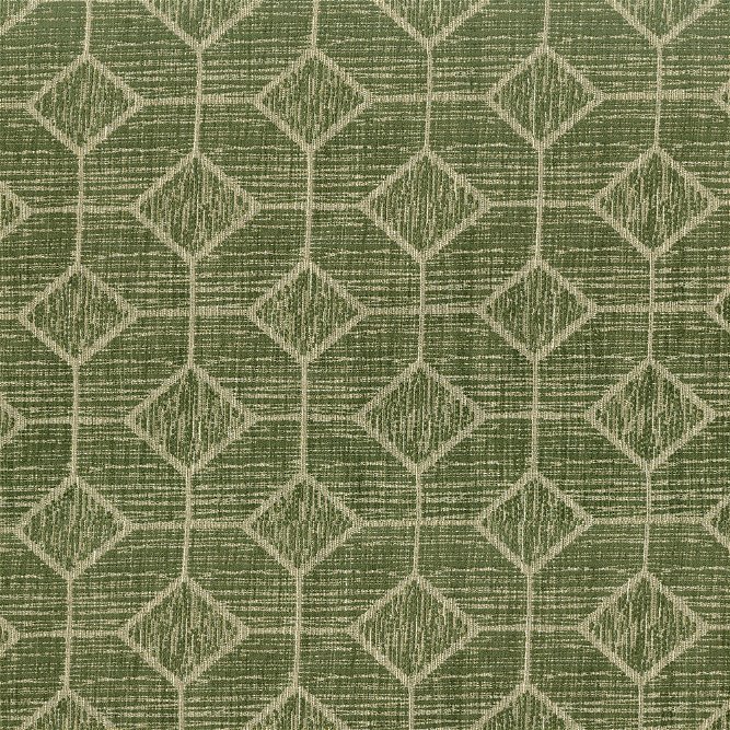 ABBEYSHEA Captivate 202 Olive Fabric