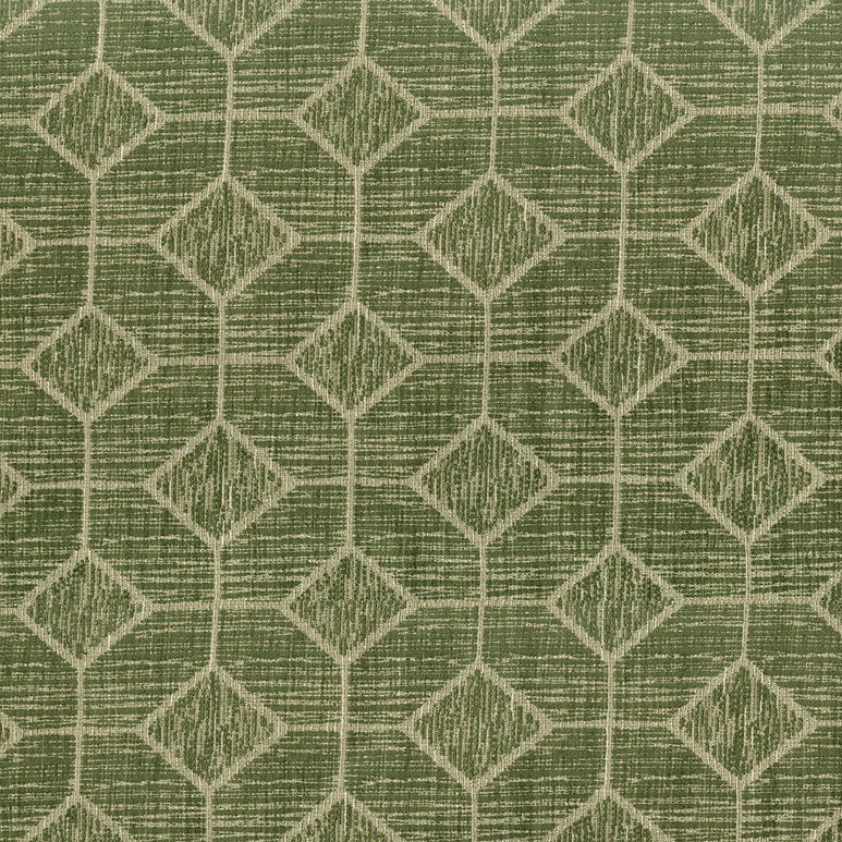ABBEYSHEA Captivate 202 Olive Fabric