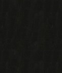 Kravet CAPTURED.8 Captured Shadow Fabric