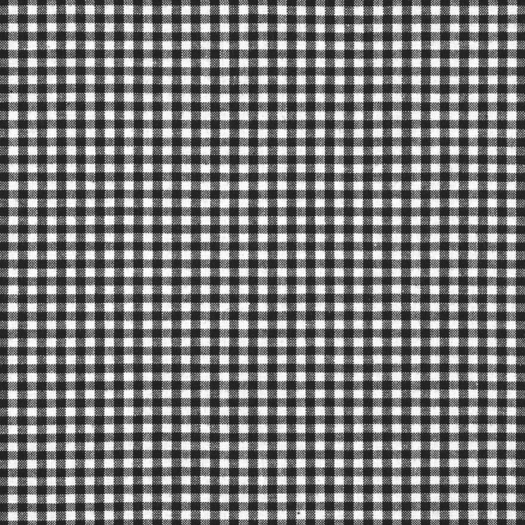 Carolina Gingham: Black