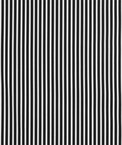 Premier Prints Carrie Black/White Canvas Fabric