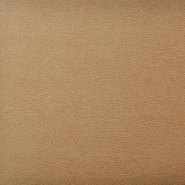 Kravet CASWELL.6 Fabric