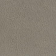 Kravet CELINE.11 Fabric