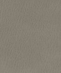 Kravet CELINE.11 Fabric