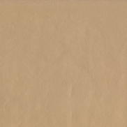 ABBEYSHEA Guardian 102 Champagne Fabric