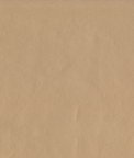 ABBEYSHEA Guardian 102 Champagne Fabric