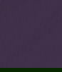 ABBEYSHEA Guardian 109 Plum Fabric