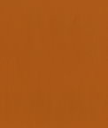 ABBEYSHEA Guardian 44 Pumpkin Spice Fabric