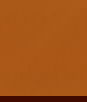 ABBEYSHEA Guardian 44 Pumpkin Spice Fabric