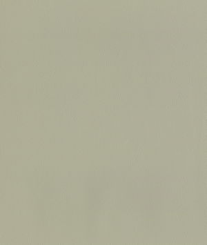 ABBEYSHEA Guardian 903 Fog Fabric