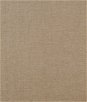 Tan Charisma Upholstery Chenille Fabric