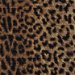 P. Kaufmann Cheetah Earth Fabric thumbnail image 2 of 5