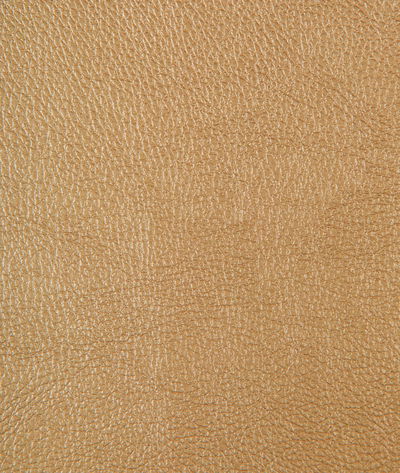 Kravet Chrome.106.0 Fabric