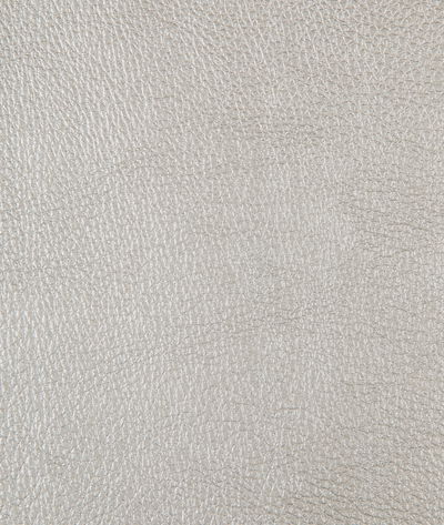 Kravet Chrome.11.0 Fabric