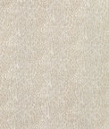 Kravet Chromis Oyster Fabric