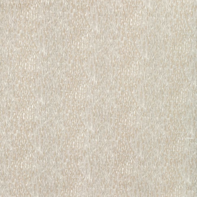 Kravet Chromis Oyster Fabric