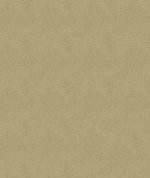 ABBEYSHEA Baldwin 6003 Beige