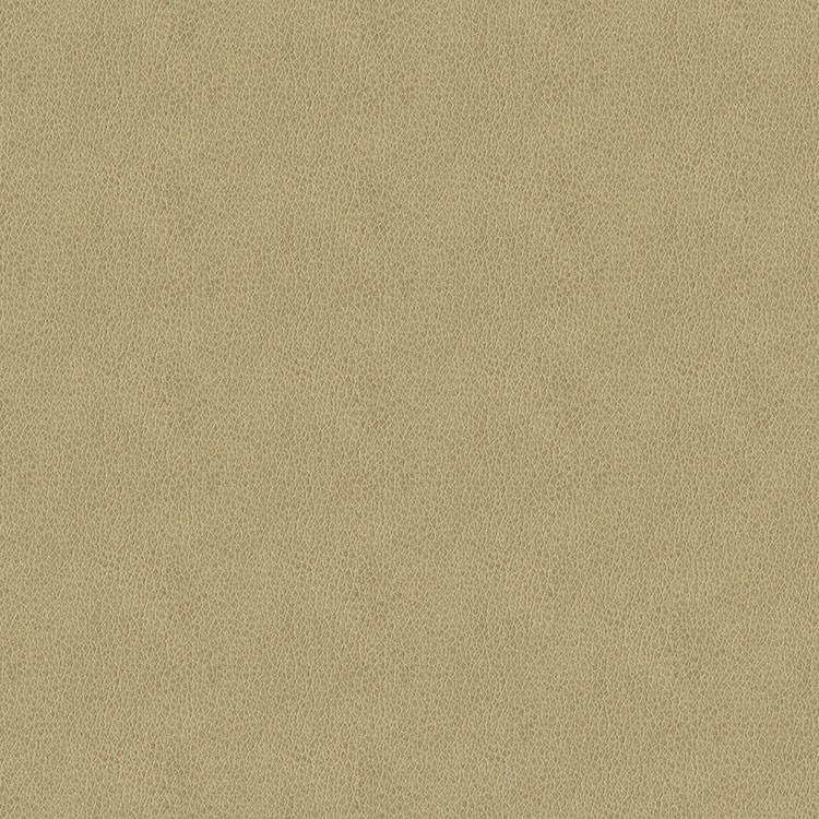 ABBEYSHEA Baldwin 6003 Beige Fabric