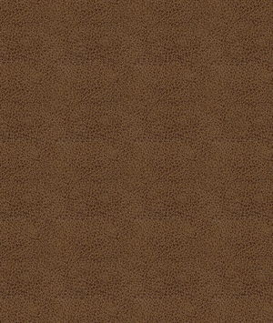 ABBEYSHEA Baldwin 8009 Amber Fabric