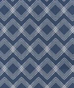 Premier Prints Colton Space Blue Slub Canvas