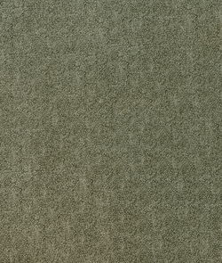 ABBEYSHEA Partner 205 Olive