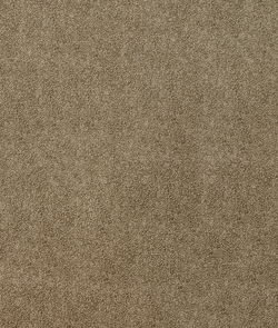 ABBEYSHEA Partner 82 Umber