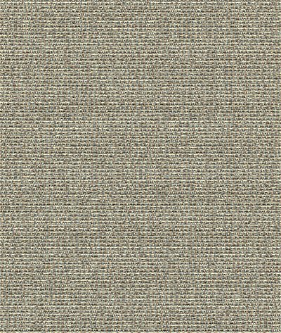 Guilford of Maine Bailey Cave Panel Fabric
