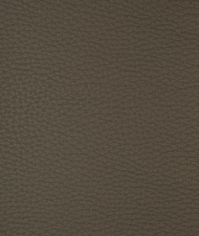 Kravet Connect.21.0 Fabric