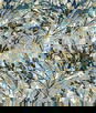ABBEYSHEA Confluence 34 Caspian Fabric