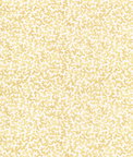 Kravet Coralcoast Cornsilk Fabric