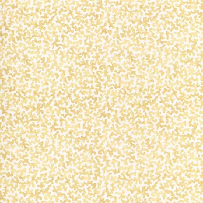 Kravet Coralcoast Cornsilk Fabric