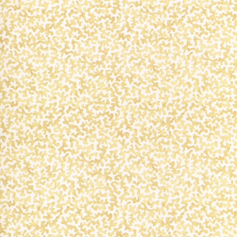 Kravet Coralcoast Cornsilk Fabric