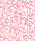 Kravet Coralcoast Petal Fabric