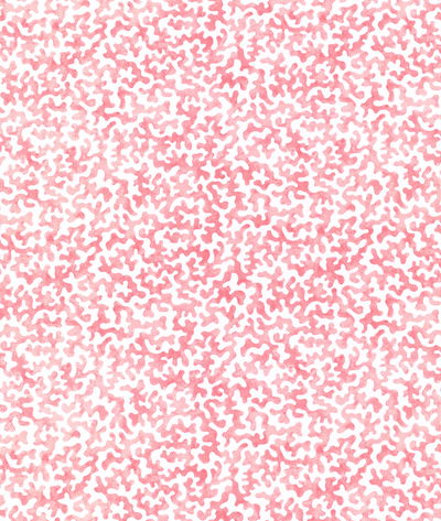Kravet Coralcoast Petal Fabric
