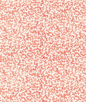 Kravet Coralcoast Flame Fabric
