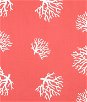 Premier Prints Coral Coral/White Canvas Fabric