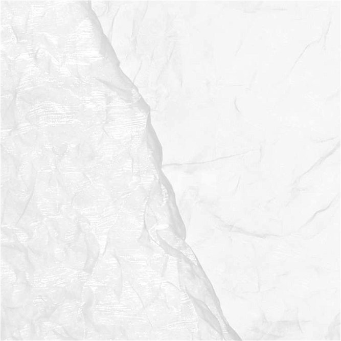 White Crushed Organza Fabric