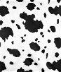 White/Black Cow Charmeuse Fabric
