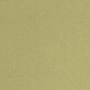 Mitchell Ez-Kleen™ Crete Pistachio Vinyl Fabric