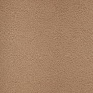 Kravet Crisp.106.0 Fabric