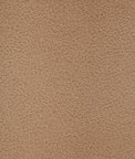 Kravet Crisp.106.0 Fabric