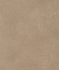 Kravet Crisp.1101.0 Fabric