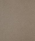 Kravet Crisp.11.0 Fabric