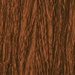 Bronze Crushed Taffeta Fabric