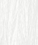 White Crushed Taffeta Fabric