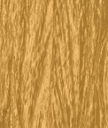 Honey Gold Crushed Taffeta Fabric