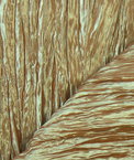 Aqua-Sienna Crushed Taffeta Fabric