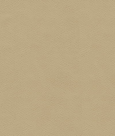 Kravet Cured.106.0 Fabric