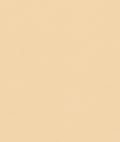 Kravet Cured.1601.0 Fabric